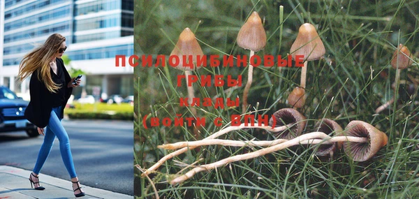 мефедрон мука Инта